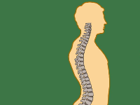 為什么人要有骨骼？